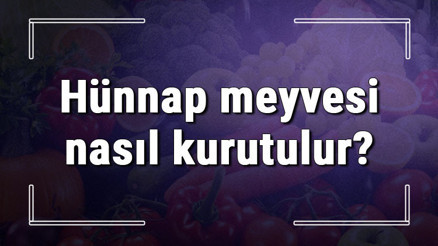 Hünnap meyvesi nasıl kurutulur Evde yaş hünnap nasıl saklanır ve kurutma işlemi nasıl yapılır