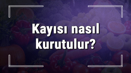 Kayısı nasıl kurutulur Evde taze gün kurusu kayısı güneşte ve fırında nasıl yapılır