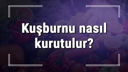 Kuşburnu nasıl kurutulur Taze kuşburnunu güneşte ve fırında kurutma yöntemleri