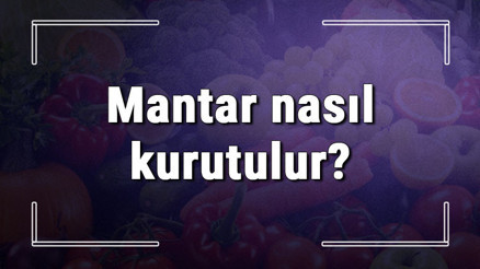 Mantar nasıl kurutulur Evde fırında ve güneşte kültür, sinek ve porçini ile kanlıca mantarı kurutma