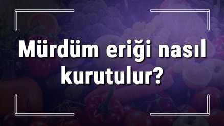 Mürdüm eriği nasıl kurutulur ve saklanır Evde fırında mürdüm eriği kurutma ipuçları Mürdüm eriği nasıl kurutulur ve saklanır Evde fırında mürdüm eriği kurutma ipuçları