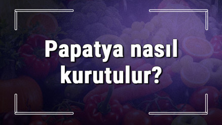 Papatya nasıl kurutulur Papatya çiçeği ve buketini bozulmadan kurutma yöntemleri Papatya nasıl kurutulur Papatya çiçeği ve buketini bozulmadan kurutma yöntemleri