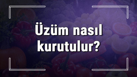 Yaş ağaç nasıl kurutulur İstenmeyen ağaç kökü kurutma yöntemleri
