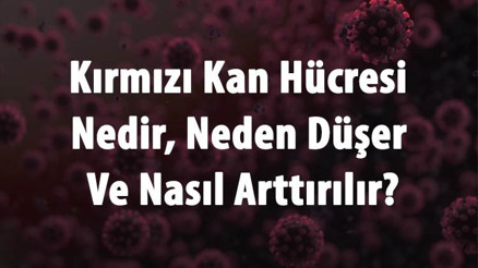 Kırmızı Kan Hücresi Nedir, Neden Düşer Ve Nasıl Arttırılır Kırmızı Kan Hücresi Özellikleri Ve Görevleri Kırmızı Kan Hücresi Nedir, Neden Düşer Ve Nasıl Arttırılır Kırmızı Kan Hücresi Özellikleri Ve Görevleri