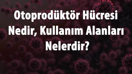 Otoprodüktör Hücresi Nedir, Ne İşe Yarar Ve Kullanım Alanları Nelerdir Otoprodüktör Hücresinin Çalışma Prensibi