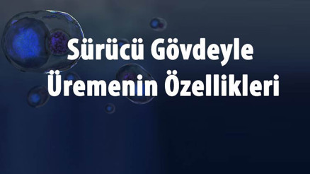 Sürünücü Gövde İle Üreme Nedir, Hangi Bitkilerde Ve Canlılarda Görülür Sürücü Gövdeyle Üremenin Özellikleri