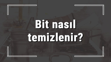 Bit nasıl temizlenir Bit nasıl yokedilir Saç için bit nasıl temizlenir