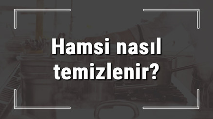 Hamsi nasıl temizlenir Hamsi sirke ile yıkanır mı En kolay nasıl yıkanır