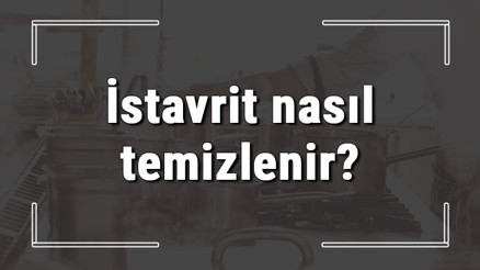 İstavrit nasıl temizlenir İri istavritin pulu temizlenir mi, derisi yenir mi İstavrit nasıl temizlenir İri istavritin pulu temizlenir mi, derisi yenir mi