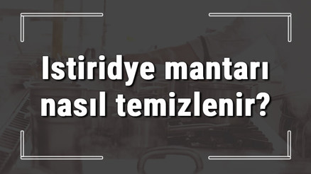 Istiridye mantarı nasıl temizlenir Nasıl pişirilir İstridye mantar kavurma nasıl yapılır Istiridye mantarı nasıl temizlenir Nasıl pişirilir İstridye mantar kavurma nasıl yapılır