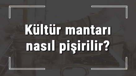 Kültür mantarı nasıl pişirilir Kültür mantar sote nasıl yapılır