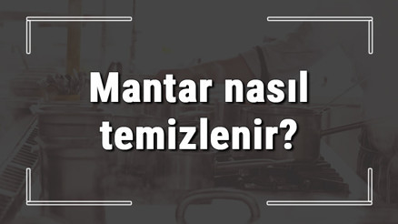Mantar nasıl temizlenir Mantar yıkanır mı, kültür mantarı nasıl temizlenmeli
