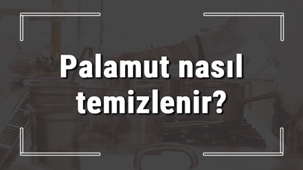 Palamut nasıl temizlenir Palamut evde nasıl temizlenir