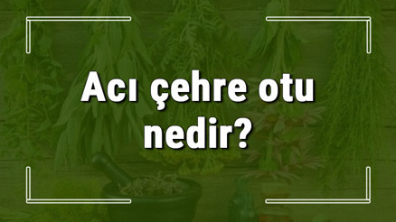 Acı çehre otu nedir, ne işe yarar ve nasıl kullanılır Acı çehre otunun faydaları nelerdir ve neye iyi gelir