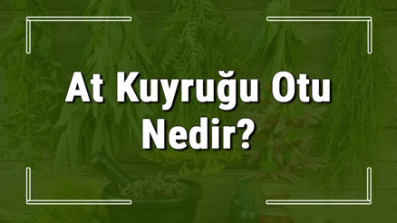 At kuyruğu otu nedir, ne işe yarar ve nerede yetişir At kuyruğu otunun faydaları nelerdir ve neye iyi gelir At kuyruğu otu nedir, ne işe yarar ve nerede yetişir At kuyruğu otunun faydaları nelerdir ve neye iyi gelir