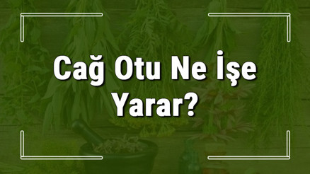 Cağ otu nedir, ne işe yarar ve nerede yetişir Cağ otunun faydaları nelerdir ve neye iyi gelir