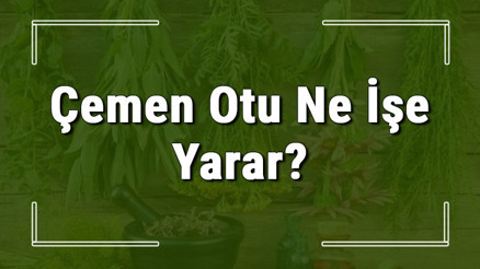 Çemen otu nedir, ne işe yarar ve nasıl kullanılır Çemen otunun faydaları nelerdir ve neye iyi gelir Çemen otu nedir, ne işe yarar ve nasıl kullanılır Çemen otunun faydaları nelerdir ve neye iyi gelir