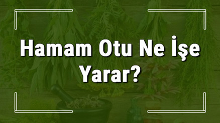 Hamam otu nedir, ne işe yarar ve nasıl kullanılır Hamam otunun faydaları nelerdir ve neye iyi gelir Hamam otu nedir, ne işe yarar ve nasıl kullanılır Hamam otunun faydaları nelerdir ve neye iyi gelir