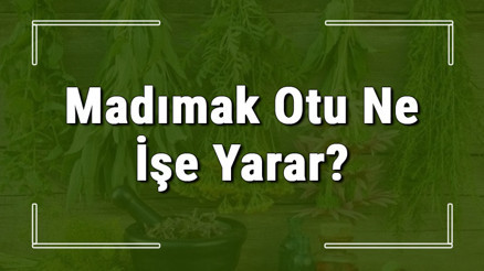 Madımak otu nedir, ne işe yarar ve nerede yetişir Madımak otunun faydaları nelerdir ve neye iyi gelir