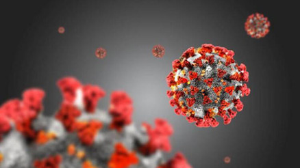 Kuersetin nedir Kuersetinin faydaları