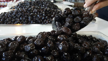 Marmarabirlik zeytin alım fiyatlarını açıkladı