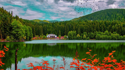 Sonbaharın renkli güzelleri: Tabiat parkları... 13 şehirden keşfedilmeyi bekleyen 17 tabiat parkı