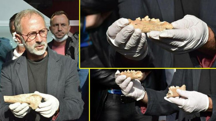 Antik yerleşimde tarihi buluş Bir zamanlar İzmirde aslan da varmış