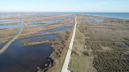 Kızılırmak Deltası’nda zirai tarım ilacı tehdidi