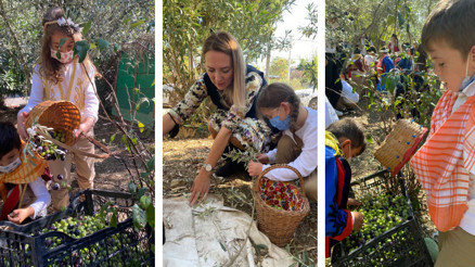 En küçük zeytinciler