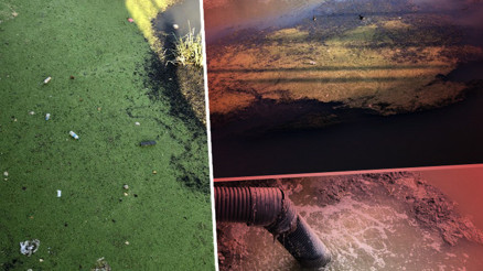 Son dakika... Yeşilırmakta korkutan görüntü Zehir saçıyor: Çok tehlikeli