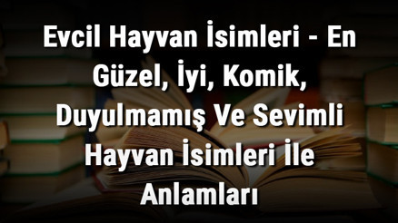 Evcil Hayvan İsimleri - En Güzel, İyi, Komik, Duyulmamış Ve Sevimli Hayvan İsimleri İle Anlamları Evcil Hayvan İsimleri - En Güzel, İyi, Komik, Duyulmamış Ve Sevimli Hayvan İsimleri İle Anlamları