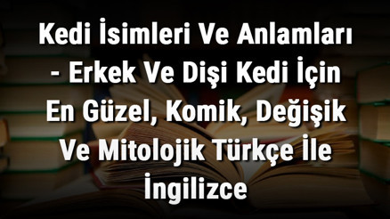 Kedi İsimleri Ve Anlamları (Güncel) - Erkek Ve Dişi Kedi İçin En Güzel, Komik, Değişik Ve Mitolojik Türkçe İle İngilizce Öneriler Ve Anlamları Kedi İsimleri Ve Anlamları (Güncel) - Erkek Ve Dişi Kedi İçin En Güzel, Komik, Değişik Ve Mitolojik Türkçe İle İngilizce Öneriler Ve Anlamları
