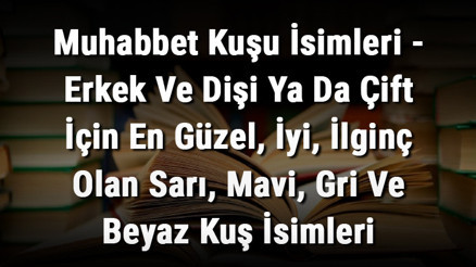 Muhabbet Kuşu İsimleri - Erkek Ve Dişi Ya Da Çift İçin En Güzel, İyi, İlginç Olan Sarı, Mavi, Gri Ve Beyaz Kuş İsimleri Muhabbet Kuşu İsimleri - Erkek Ve Dişi Ya Da Çift İçin En Güzel, İyi, İlginç Olan Sarı, Mavi, Gri Ve Beyaz Kuş İsimleri