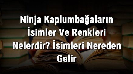 Ninja Kaplumbağaların İsimler Ve Renkleri Nelerdir İsimleri Nereden Gelir