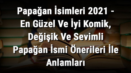 Papağan İsimleri - En Güzel ve İyi Komik, Değişik Ve Sevimli Papağan İsmi Önerileri İle Anlamları Papağan İsimleri - En Güzel ve İyi Komik, Değişik Ve Sevimli Papağan İsmi Önerileri İle Anlamları