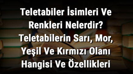 Teletabiler İsimleri Ve Renkleri Nelerdir Teletabilerin Sarı, Mor, Yeşil Ve Kırmızı Olanı Hangisi Ve Özellikleri Nedir