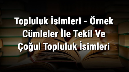 Topluluk İsimleri - Örnek Cümleler İle Tekil Ve Çoğul Topluluk İsimleri
