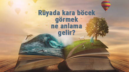 Rüyada kara böcek görmek ne anlama gelir Rüyada karaböcek kovalamak, öldürmek ve elini ısırması...