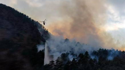 Adana Aladağda orman yangını