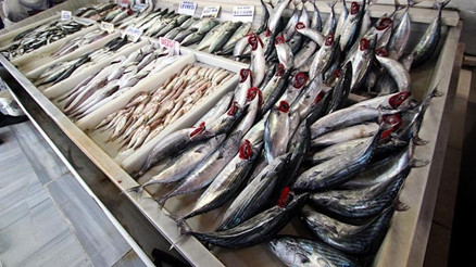 Kasımda hangi balıklar yenir İşte Kasım ayında yenecek balıklar