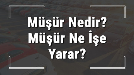 Müşür nedir ve ne işe yarar Arabada müşür arızası ne demek