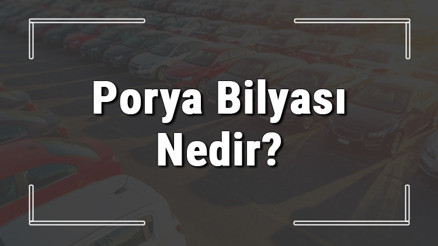 Porya bilyası nedir, ne işe yarar ve bozulursa ne olur Porya bilyası arızası, değişimi ve ömrü hakkında bilgiler Porya bilyası nedir, ne işe yarar ve bozulursa ne olur Porya bilyası arızası, değişimi ve ömrü hakkında bilgiler