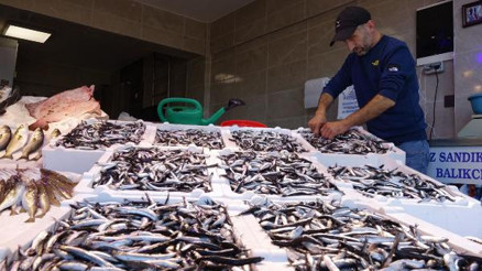Karadeniz’de hamsi bolluğu