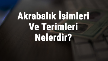 Akrabalık İsimleri Ve Terimleri Nelerdir 1. Ve 2. Dereceden Akrabalık Dereceleri