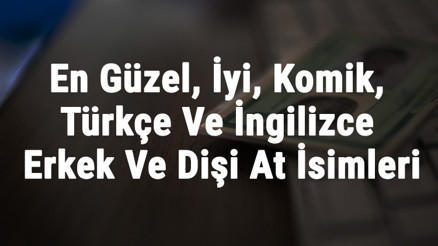 At İsimleri Ve Anlamları - En Güzel, İyi, Komik, Türkçe Ve İngilizce Erkek Ve Dişi At İsimleri