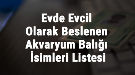 Balık Çeşitleri Ve İsimleri - Evde Evcil Olarak Beslenen Akvaryum Balığı İsimleri Listesi