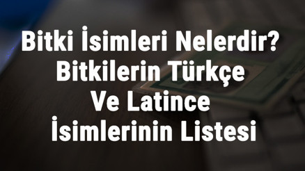Bitki İsimleri Nelerdir Bitkilerin Türkçe Ve Latince İsimlerinin Listesi