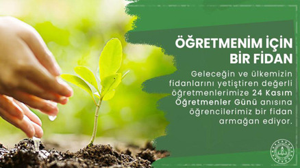 Öğretmenim için bir fidan
