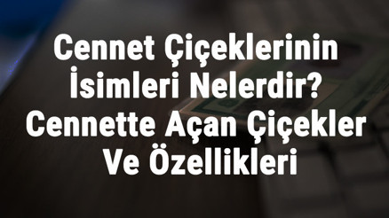 Cennet Çiçeklerinin İsimleri Nelerdir Cennette Açan Çiçekler Ve Özellikleri