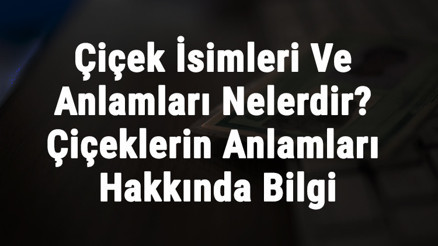 Çiçek İsimleri Ve Anlamları Nelerdir Çiçeklerin Anlamları Hakkında Bilgi